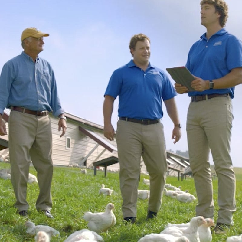 Perdue Farms Story Perdue Farms